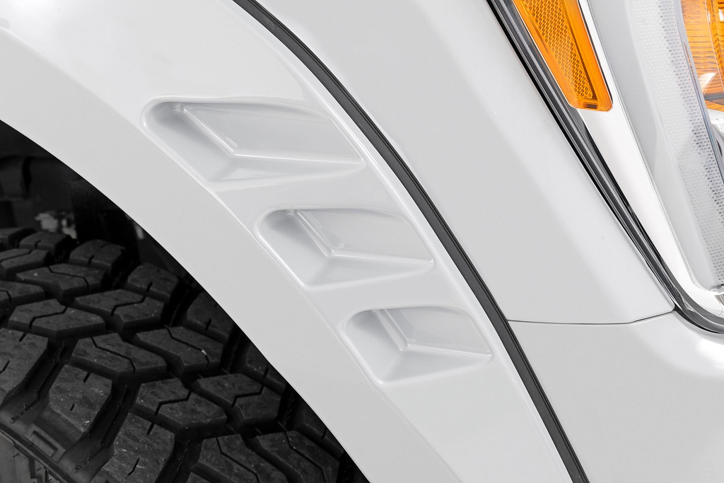 Ford F150 2021 - Fender Flares 1