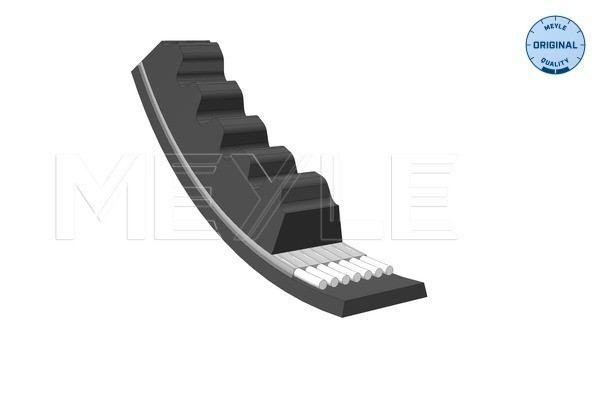 suzuki 1.3 belt 10x825