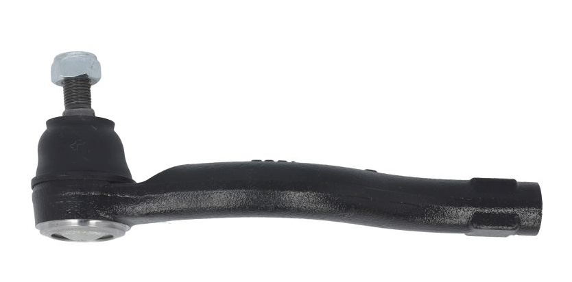 Raidetangonpää Ulompi Oikea