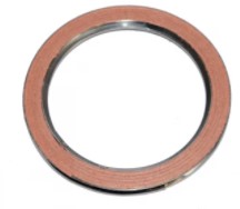 Exhaust Seal Vigo