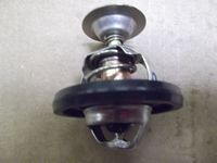 Thermostat 300Tdi (78 Degree)