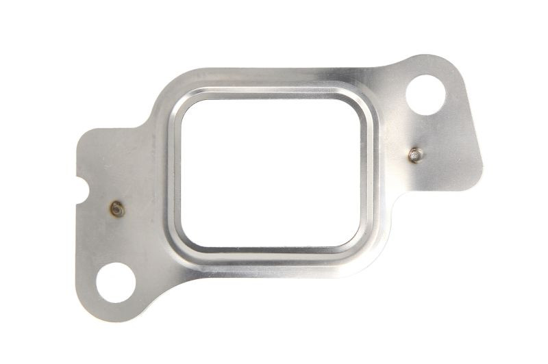 Pakosrjan tiiviste 1 pcs.
