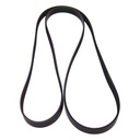Serpentine Belt 