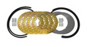BEADLOCK KIT 16" GOLD STYLE