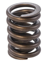 Valve spring VS280